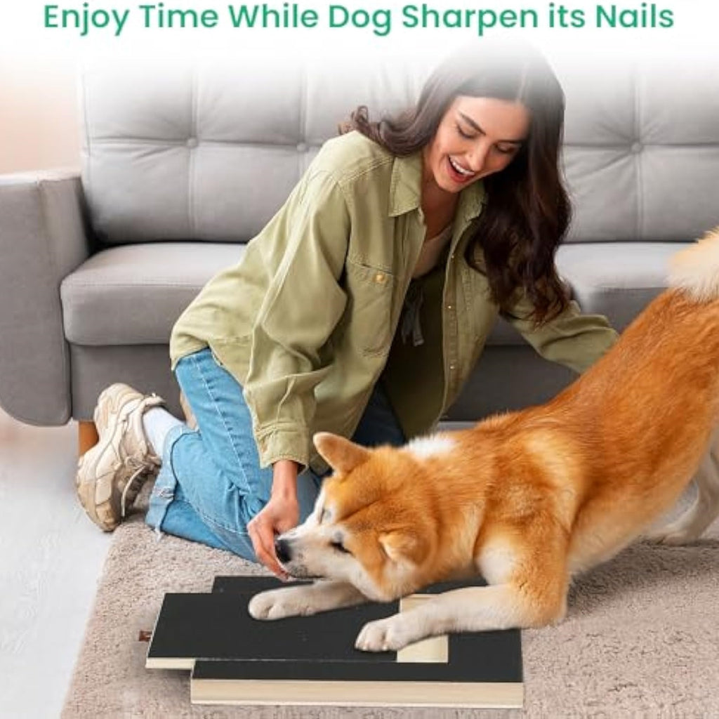 PawFile™ Stress-Free Nail Scratch Board