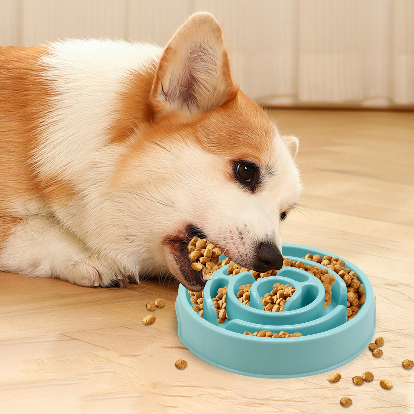 PawPace™ Anti-Gulp Slow Feeder Bowl