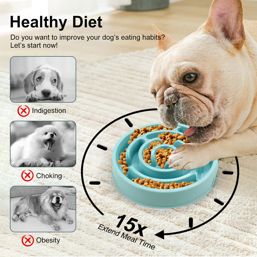 PawPace™ Anti-Gulp Slow Feeder Bowl
