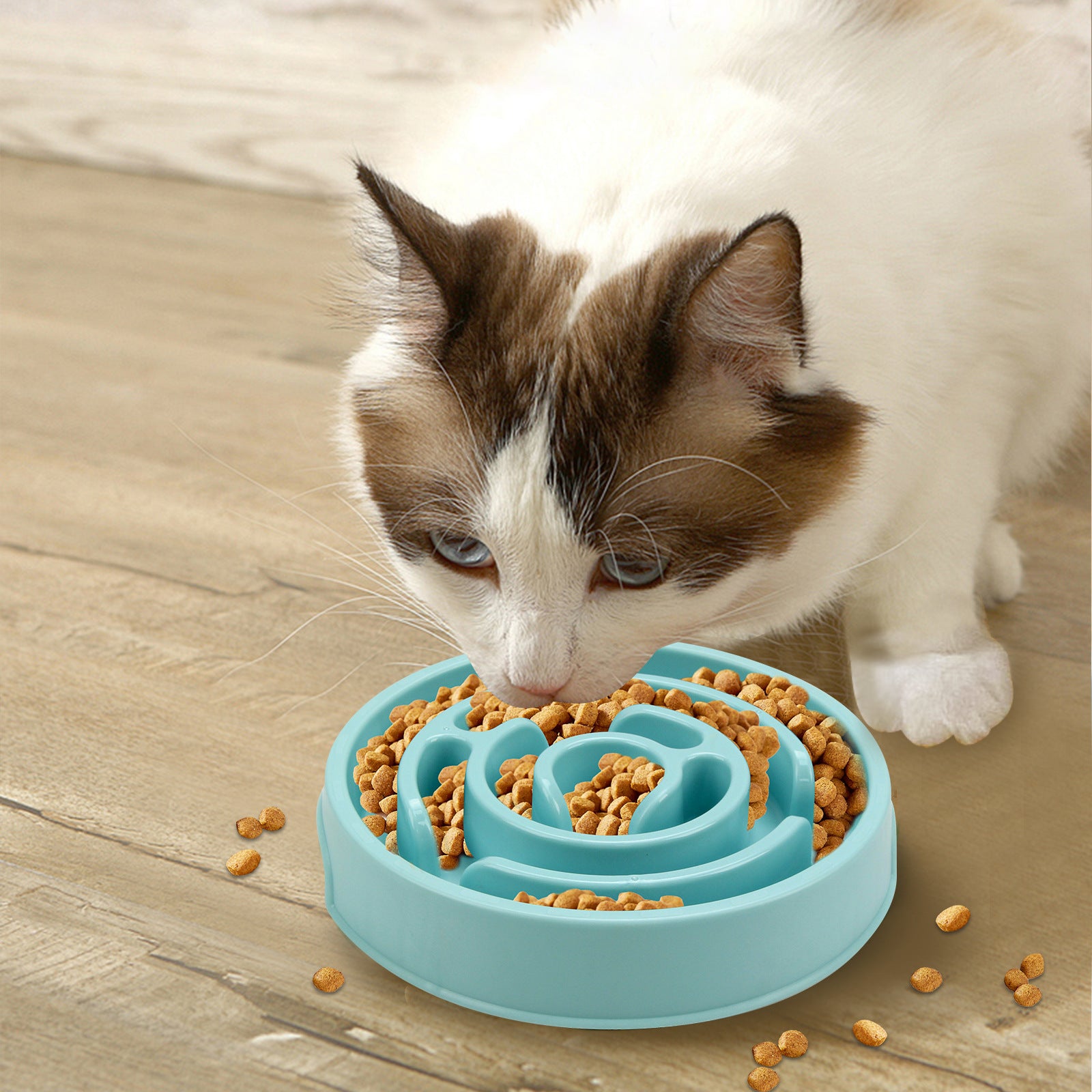 PawPace™ Anti-Gulp Slow Feeder Bowl
