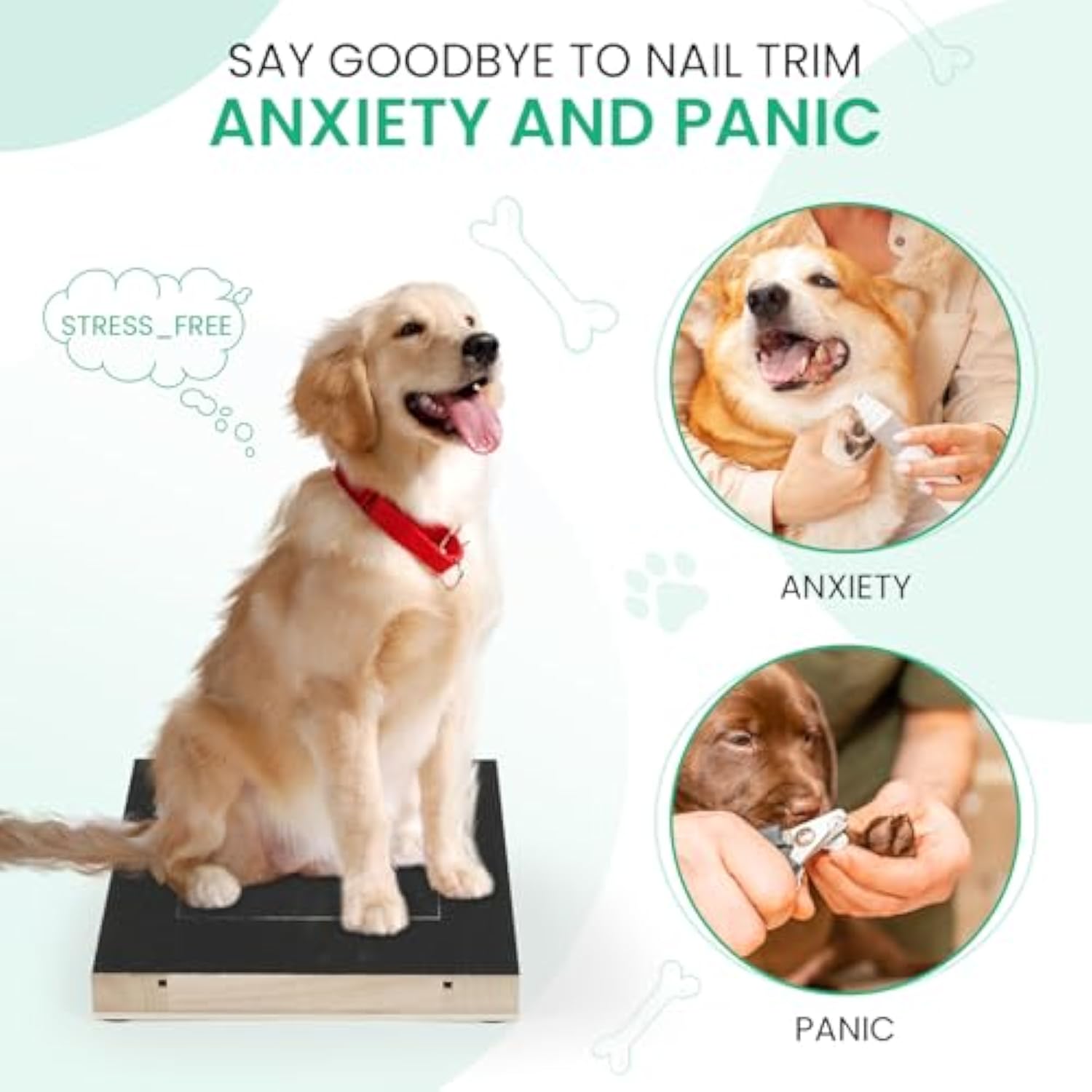 PawFile™ Stress-Free Nail Scratch Board